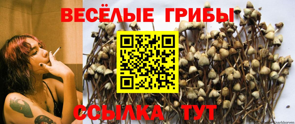 Галлюциногенные грибы мухоморы  Вход с VPN  Коряжма  Псилоцибиновые грибы прущие грибы 